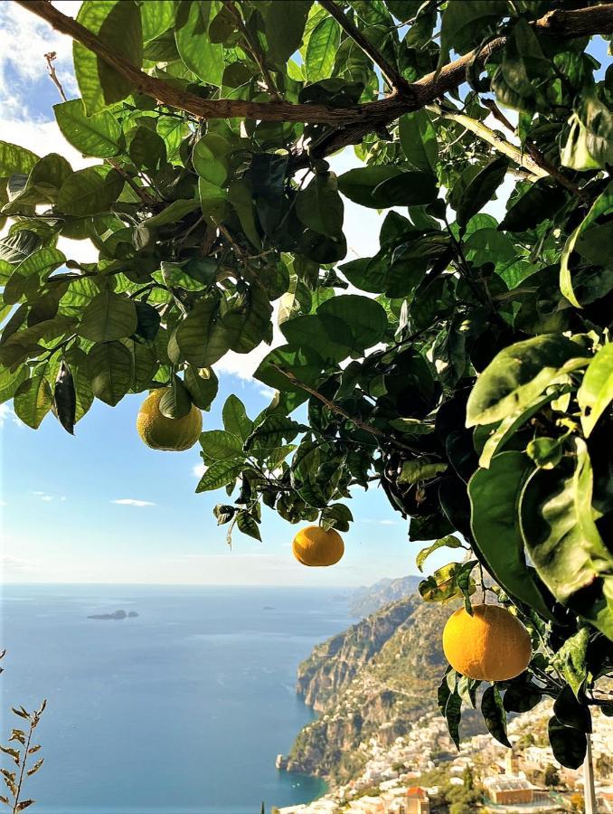 Colle Dell'Ara Bed and Breakfast Positano Exteriör bild